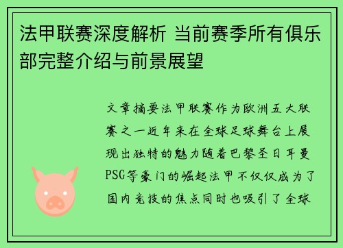 法甲联赛深度解析 当前赛季所有俱乐部完整介绍与前景展望